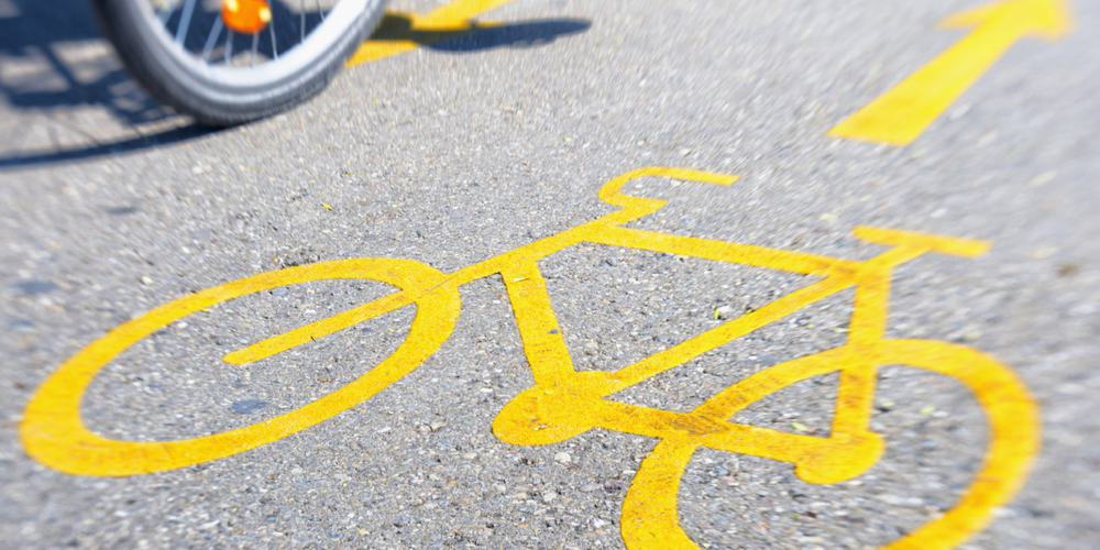 Die KlassensprecherInnen unterstützen das Radwegekonzept der Stadt Titisee-Neustadt